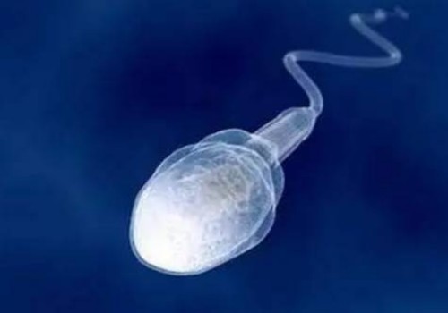 2022男性不孕不育的原因主要有几种-