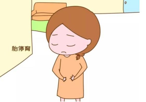 卵子好坏如何鉴别？按这个标准来进行！